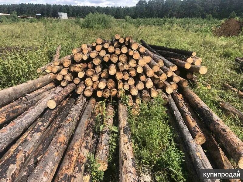 Купить дрова в иркутске с доставкой. Древесина Иркутска. Вагон стойка. Вагонострйка. Бревна на забор вагон стойка на Исток в Комсомольске на Амуре.