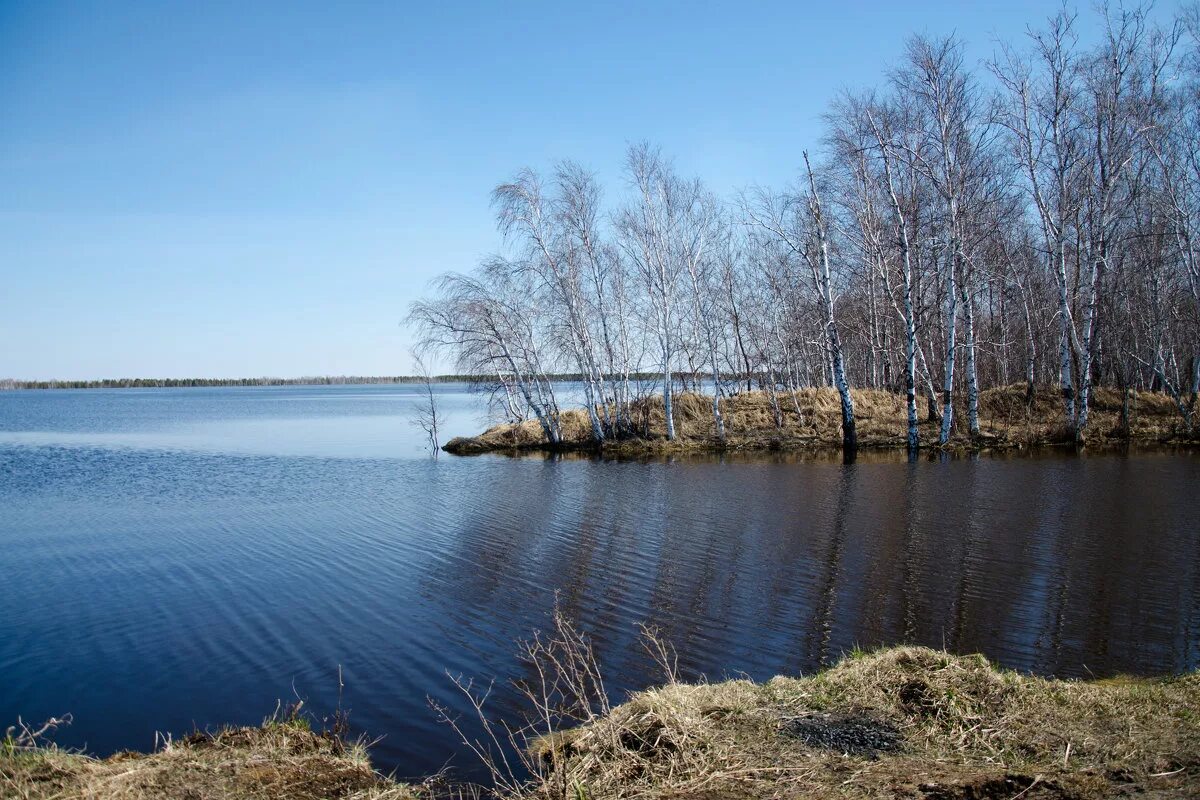 Татарск река. Озеро Убинское. Озеро Убинское Новосибирская область. Малое Убинское озеро. Озеро Убинское Убинский район в Новосибирской области.