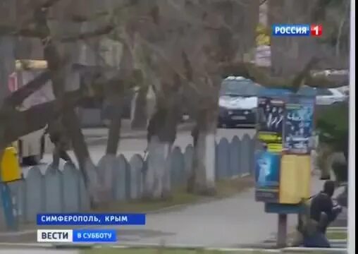 Стрельба симферополь. Стендовая стрельба скит. Стрельба симферополь. Симферополь кружок стрельба. Стрельба в симферополе.