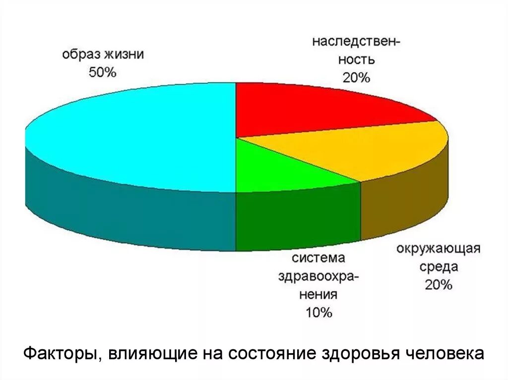 Образ жизни влияние на здоровье населения. Диаграмма здоровья. Факторы здоровья диаграмма. Факторы влияющие на здоровье диаграмма. Факторы влияющие на здоровье человека диаграмма.