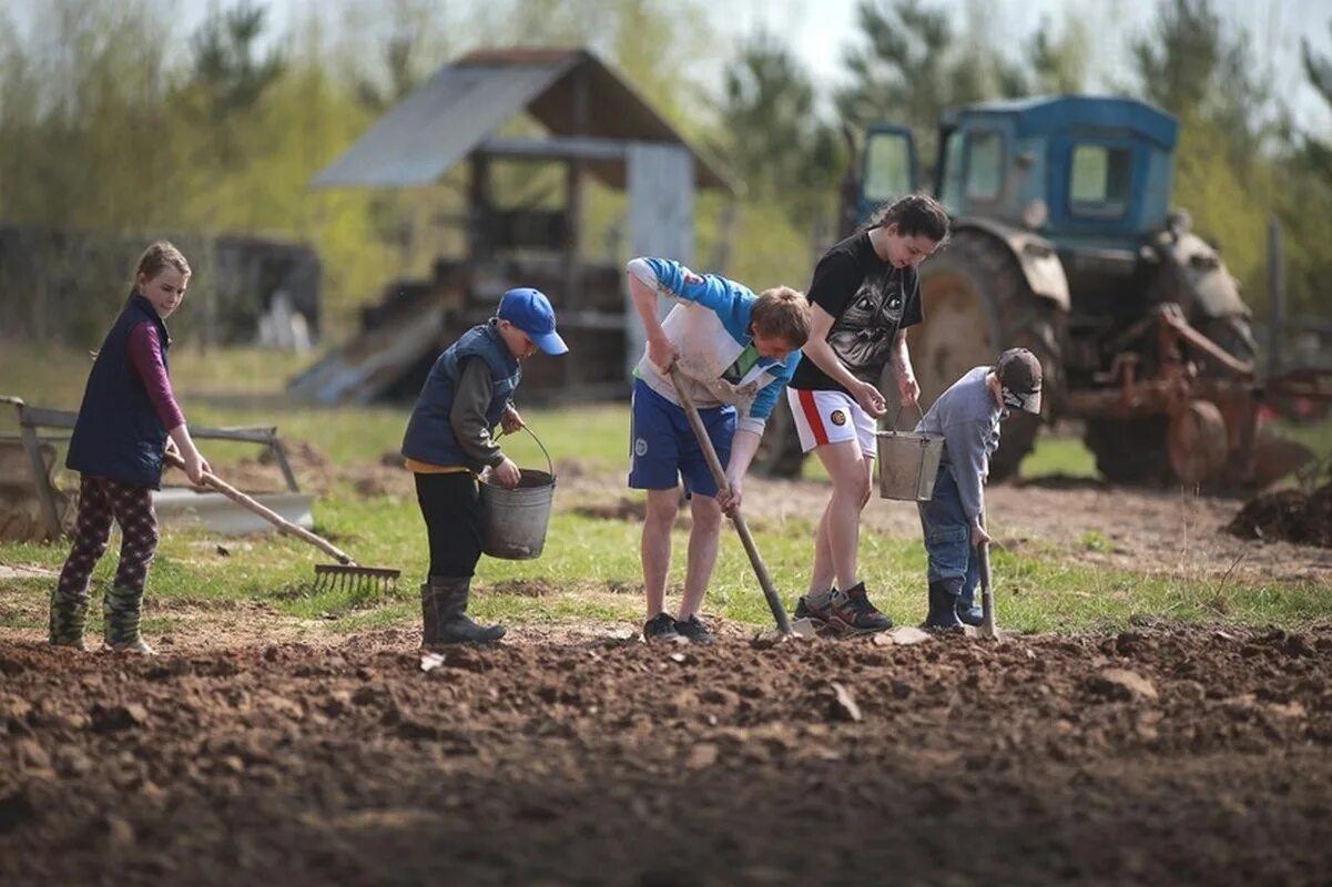Труд в огороде. Факторы производства схема. Труд земля капитал предпринимательские способности это. Земля и труд. Земля и труд.