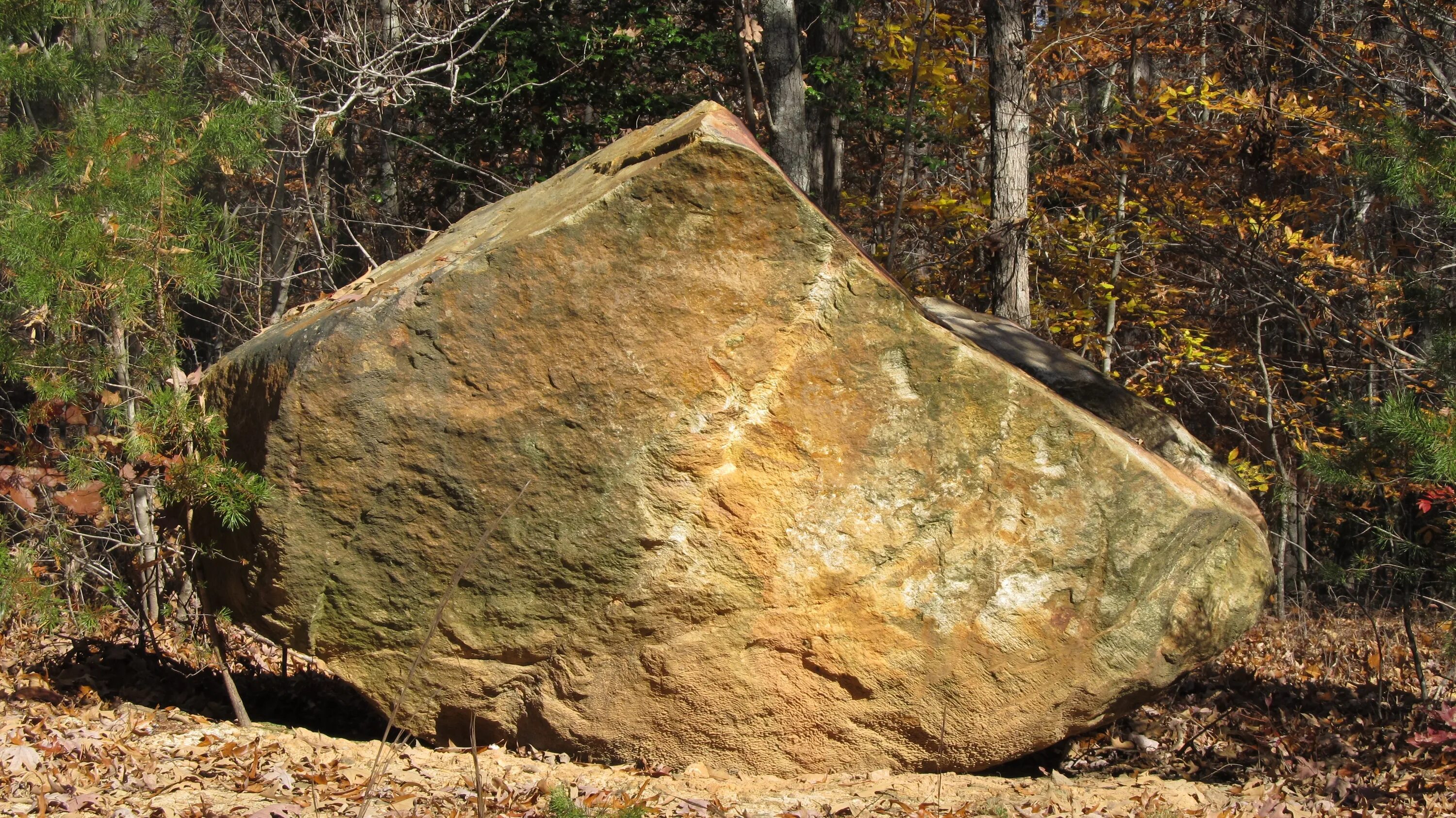 Stone huge. Камень в лесу. Валун в лесу. Большие камни в лесу. Большой камень в лесу.