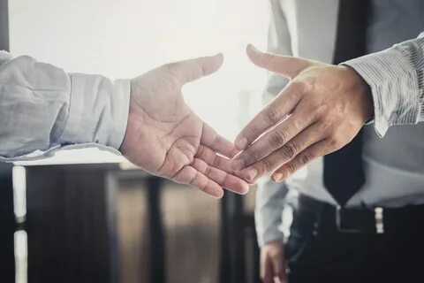 Отдали в надежные руки
