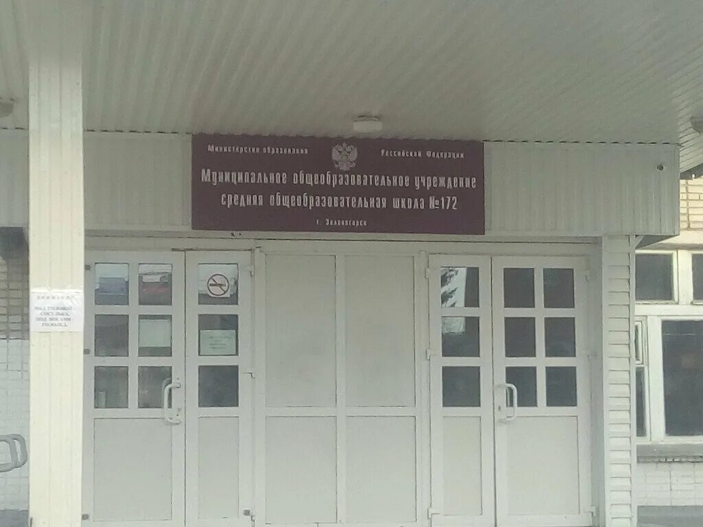 школа 172 зеленогорск красноярский. школа 169 новосибирск официальный сайт. 172 школа красноярск. школа мбоу сош 172 зеленогорск. школа 163 зеленогорск красноярский.