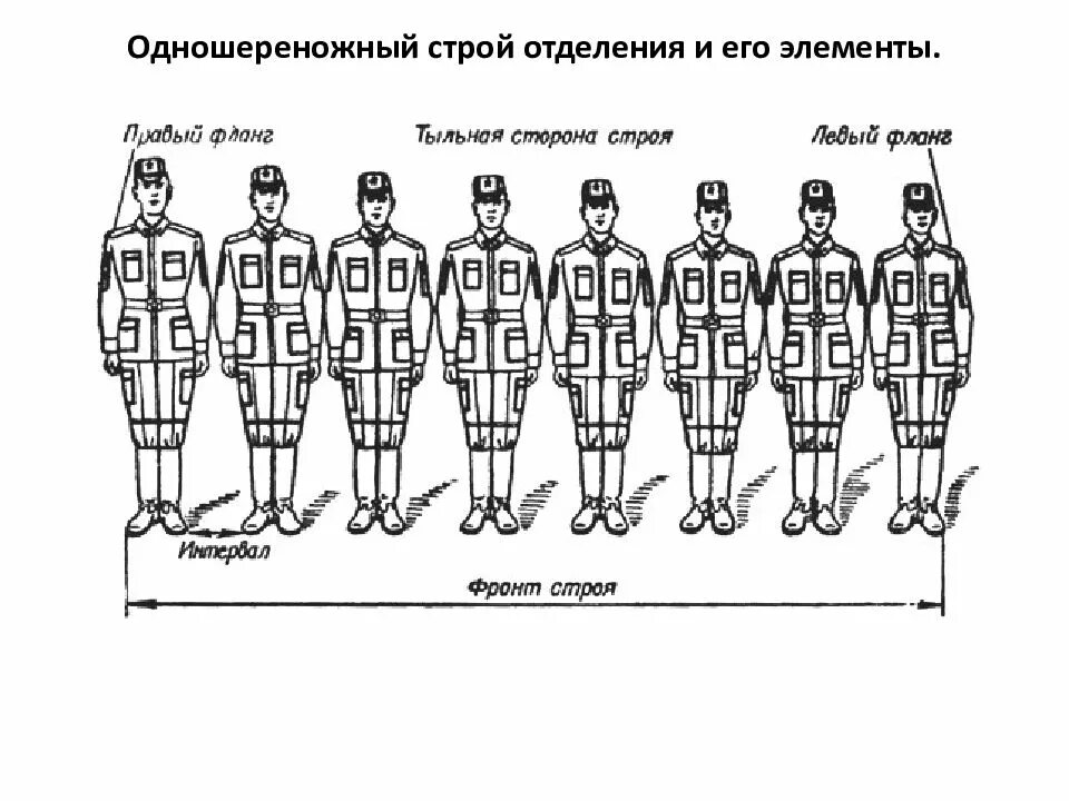 Куда смотрят участники при размыкании строя. Одношереножный Строй и его элементы. Рис. 1. одношереножный Строй (шеренга) и его элементы. Одношереножный и двухшереножный Строй. Двухшереножный Строй и его элементы.