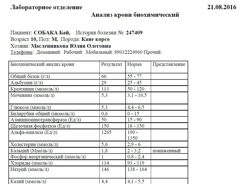 Какие анализы на остеопороз. Биохимия крови щелочная фосфатаза норма. Щелочная фосфатаза в биохимическом анализе крови. Щелочная фосфатаза в биохимическом анализе крови норма. Общий анализ крови щелочная фосфатаза норма.