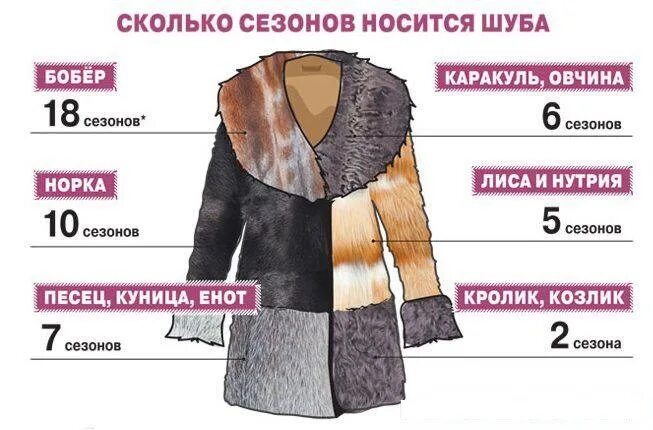 Шубу хранить в морозилке. Шубы качество. До скольки градусов можно носить шубу. Плюсы и минусы меха. Виды меховой овчины.
