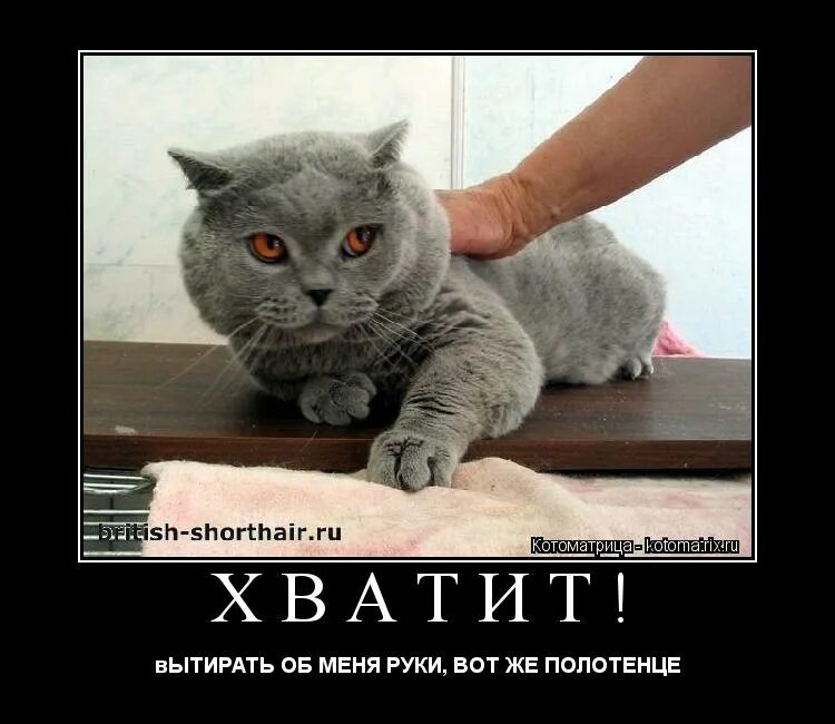 Чапаев морган фриман петька вил смит. Вон там. Сделай руку вот так теперь согни. А может надо не надо бриллиантовая рука. Котик заработался.