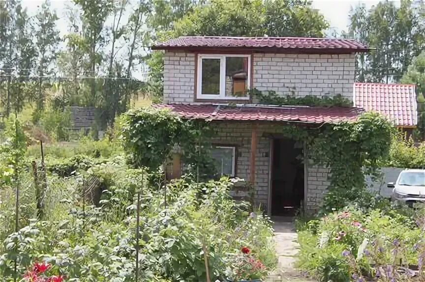 Местность садоводства росинке барнаул. Садоводство росинка. Дачи-в-барнауле. Местность садоводства росинке барнаул. Снт росинка тюмень.