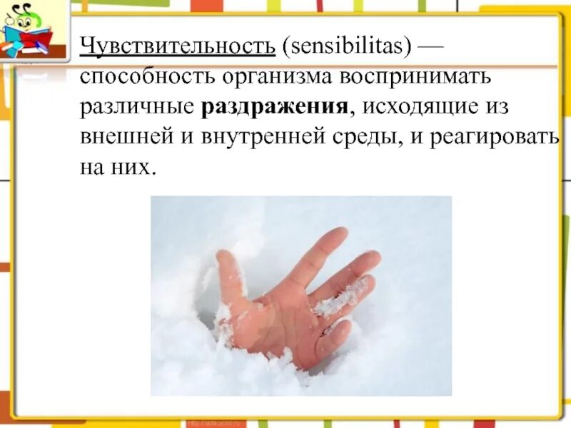 Реакция на раздражители. Раздражительность это в биологии. Тропизмы настии таксисы рефлексы. Способность организма реагировать на различные раздражители. Определение раздражимость.