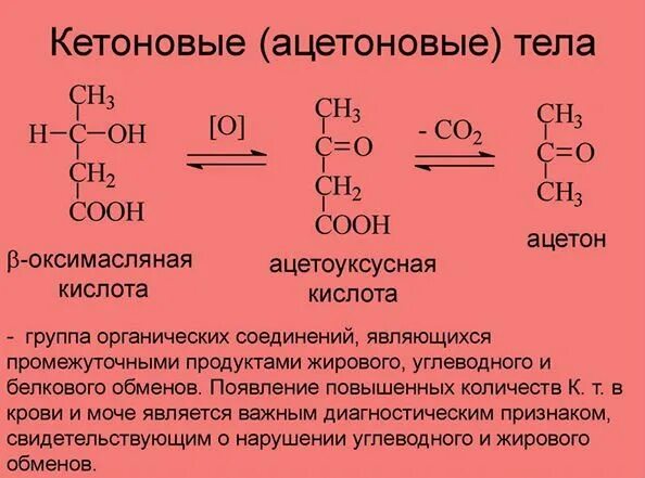 Кетоновый белок в моче. Образование ацетона кетоновые тела. Бета оксимасляная кислота кетоновые тела. Ацетон + ацетоуксусная + бета-гидроксимасляная. B оксимасляная кислота в ацетон.