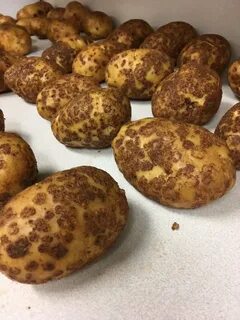 Вырученный картофель