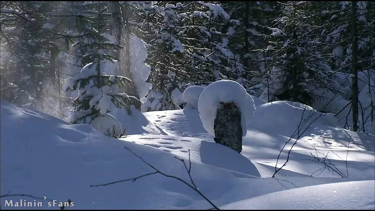 Укрой той пеленой что мы создали. Ты укрой меня снегом. Ты укрой меня снегом зима так о многом хочу позабыть я. Ты укрой меня снегом зима картинки.