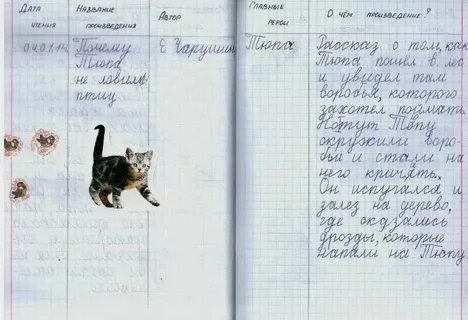 Разум для кота краткий пересказ