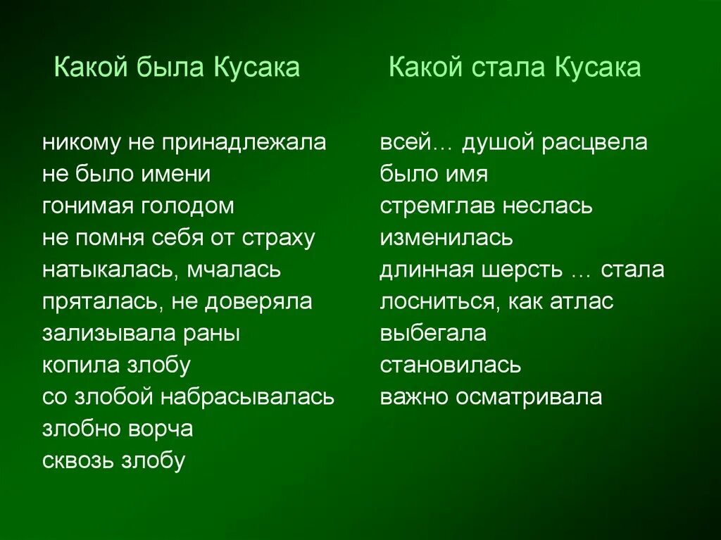 Кусака краткое содержание 5. Кусака. План кусака. План рассказа кусака. Кусака презентация.