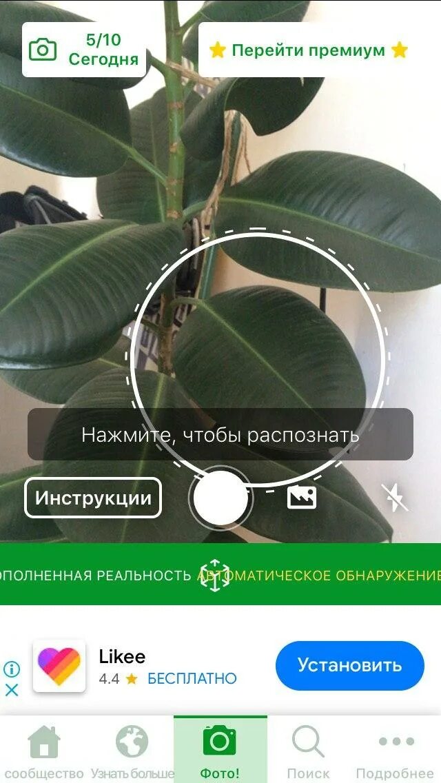 Опознать комнатный цветок. Узнать растение по картинке. Названия комнатных цветов с фотографиями. Домашние цветы названия. Комнатный цветок с коричневыми листьями.