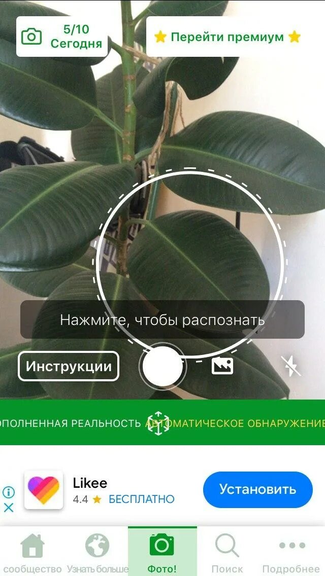 Определить цветок по фотографии с телефона. Распознавание растений по картинке. Приложение по распознаванию растений. Приложение определяющие растения. Распознать цветок.