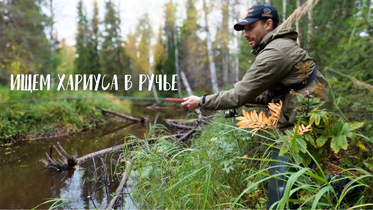 Моя будешь без вариантов читать лена ручей. Хариус в ручьях. таежный ручей. рыбалка в ручье. таежный ручей киров 2025.