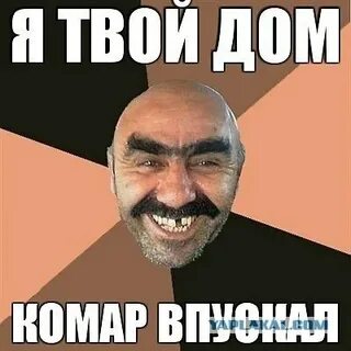 Я твой рот плевал