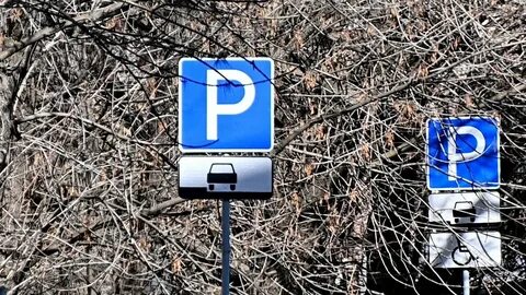 Парковки москвы 31 декабря платные или нет