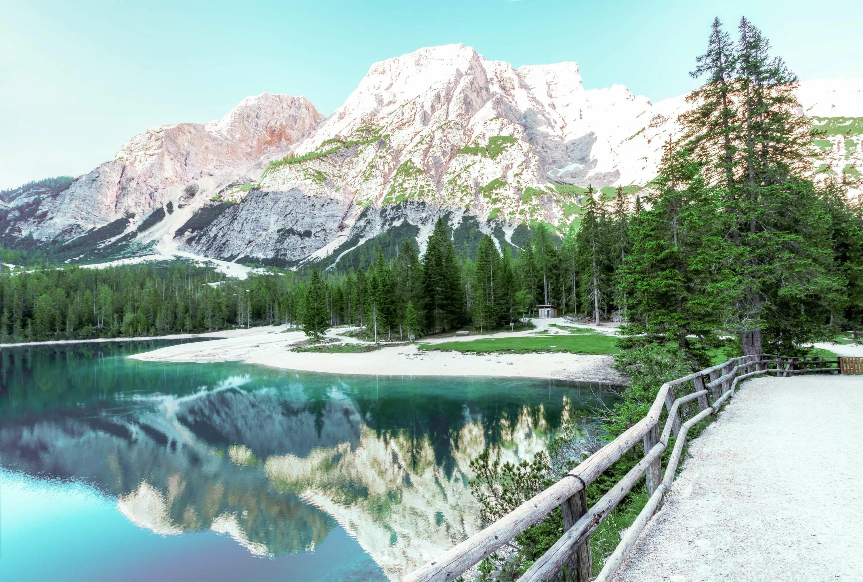 Природа зелень. Зеленая природа. Natural scene. Natural scene. Заставка природа.