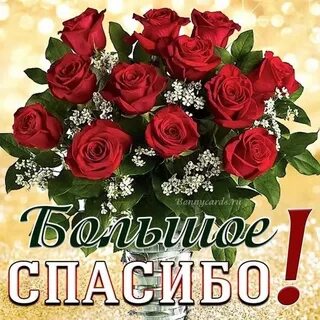 Спасибо большое слова благодарности