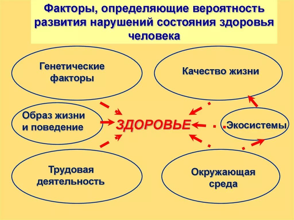 Факторы определяющие здоровье человека. Факторы определяющие состояние здоровья человека. Факторы определяющие здоровье человека генетические. Здоровье человека как фактор качества жизни. Служба здоровья фактор