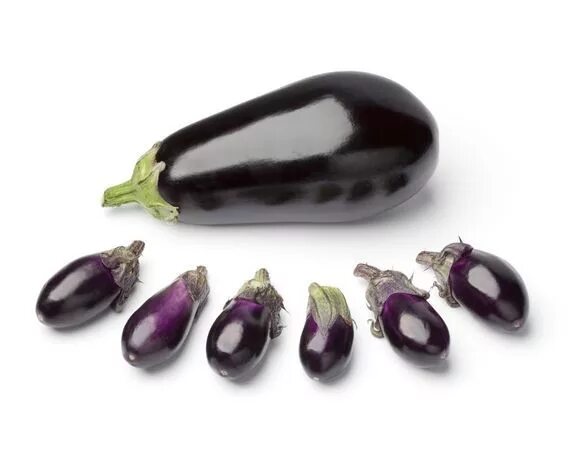 This mini eggplant Mini, Eggplant, Blueberry