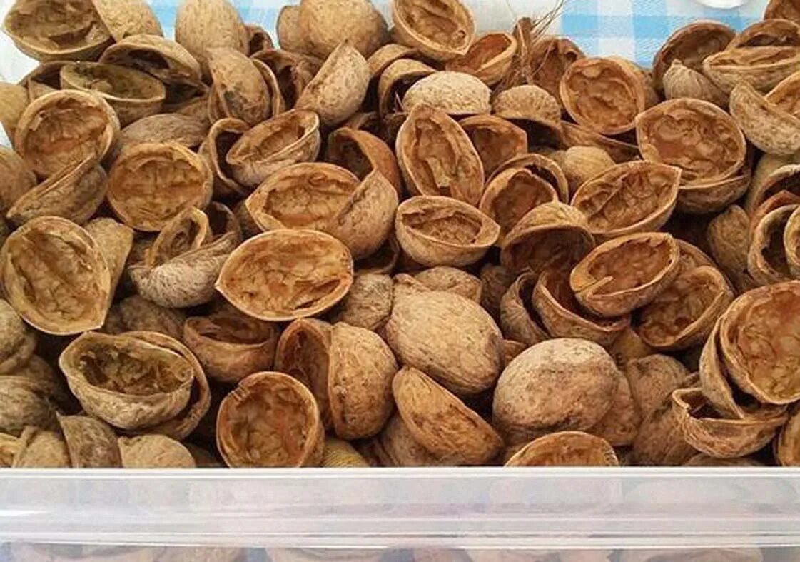 Мульча грецкого ореха. Куда можно использовать грецкую скорлупу. Куда можно использовать грецкую скорлупу. Мульча кедрового ореха. Куда можно использовать грецкую скорлупу.