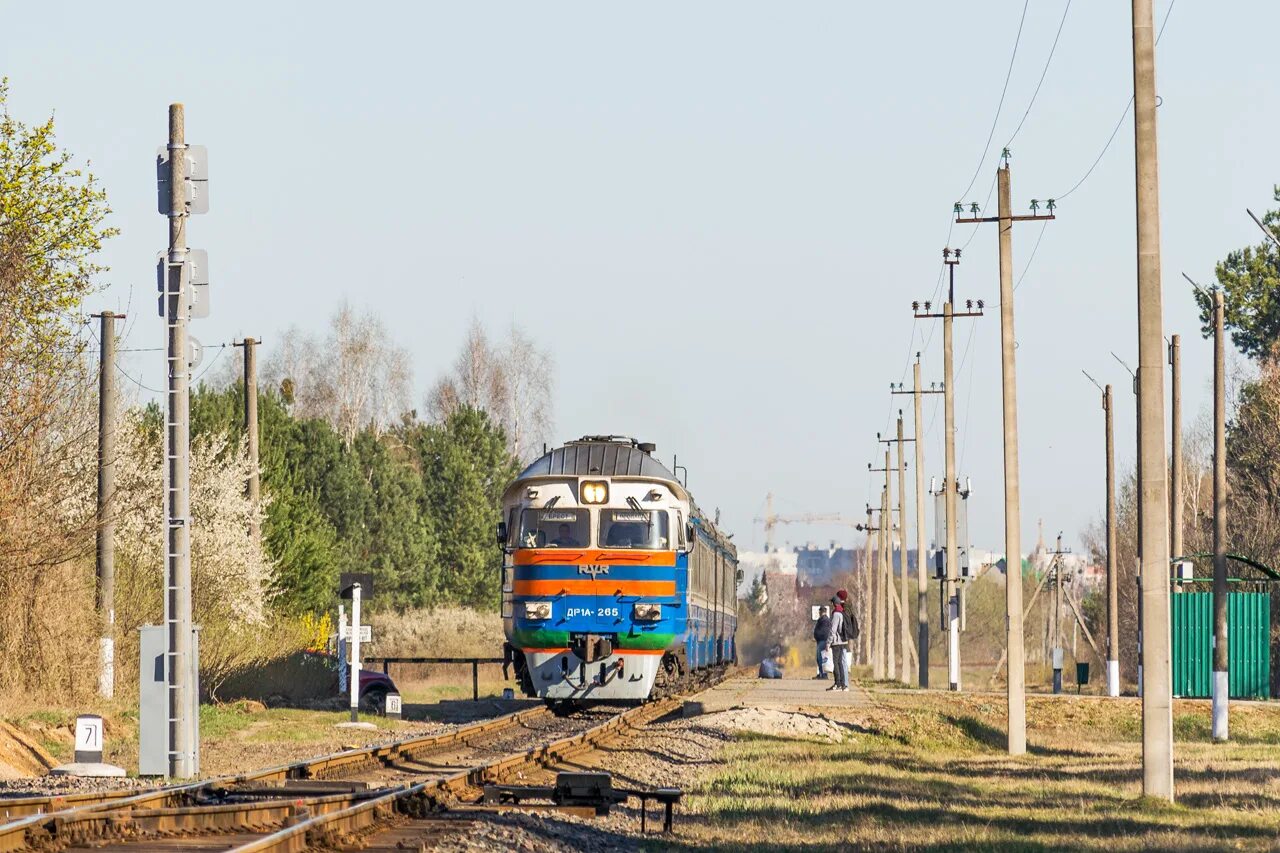 Город рогачев улицы. Улица рогачева, 18. А1 рогачев. Кричев кафе. Др1 дизель-поезд.
