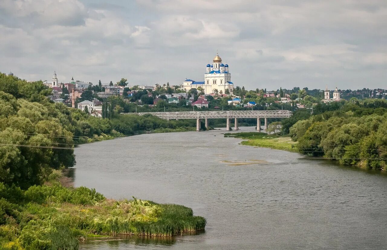 река сосна елец. быстрая сосна. река сосна елец. быстрая сосна. быстрая сосна.