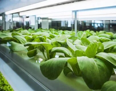 Grow row