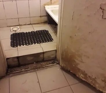 25 трупов страшной общаги