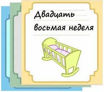 Двадцать восьмая неделя