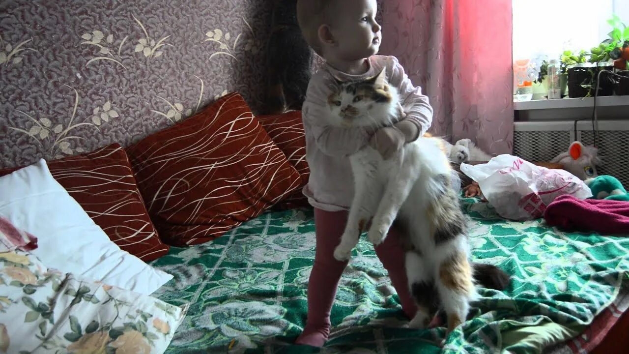 Я тоже очень скучаю. Виде ты скучал. Я тоже скучаю картинки. Скучаю. Малыш мучает кота.