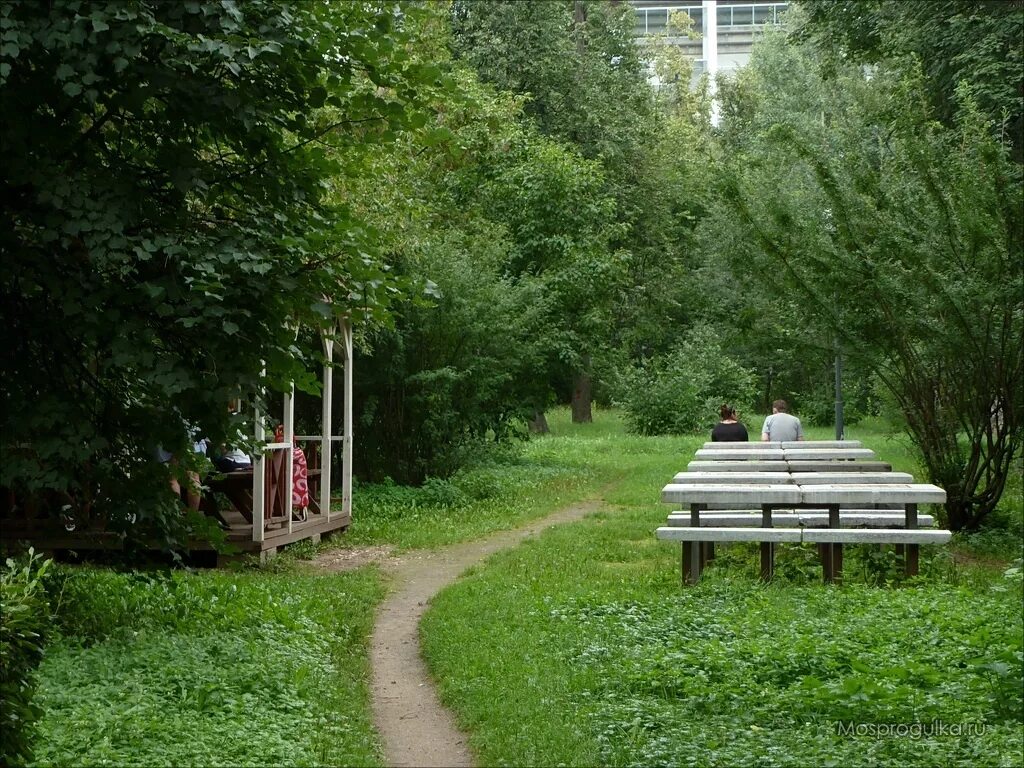 Парк березовая роща москва. Парк березовая роща москва