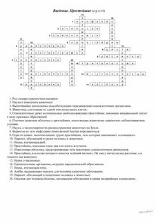 Кроссворд по млекопитающим 7 класс