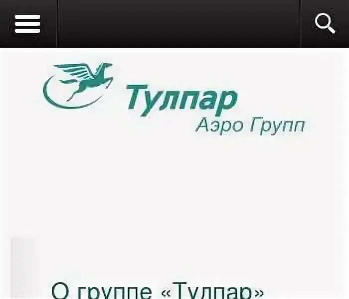 ООО авиакомпания Тулпар. Авиакомпания Тулпар Казань. Тулпар Аэро групп. Тулпар 4 Казань. Тулпар журналы