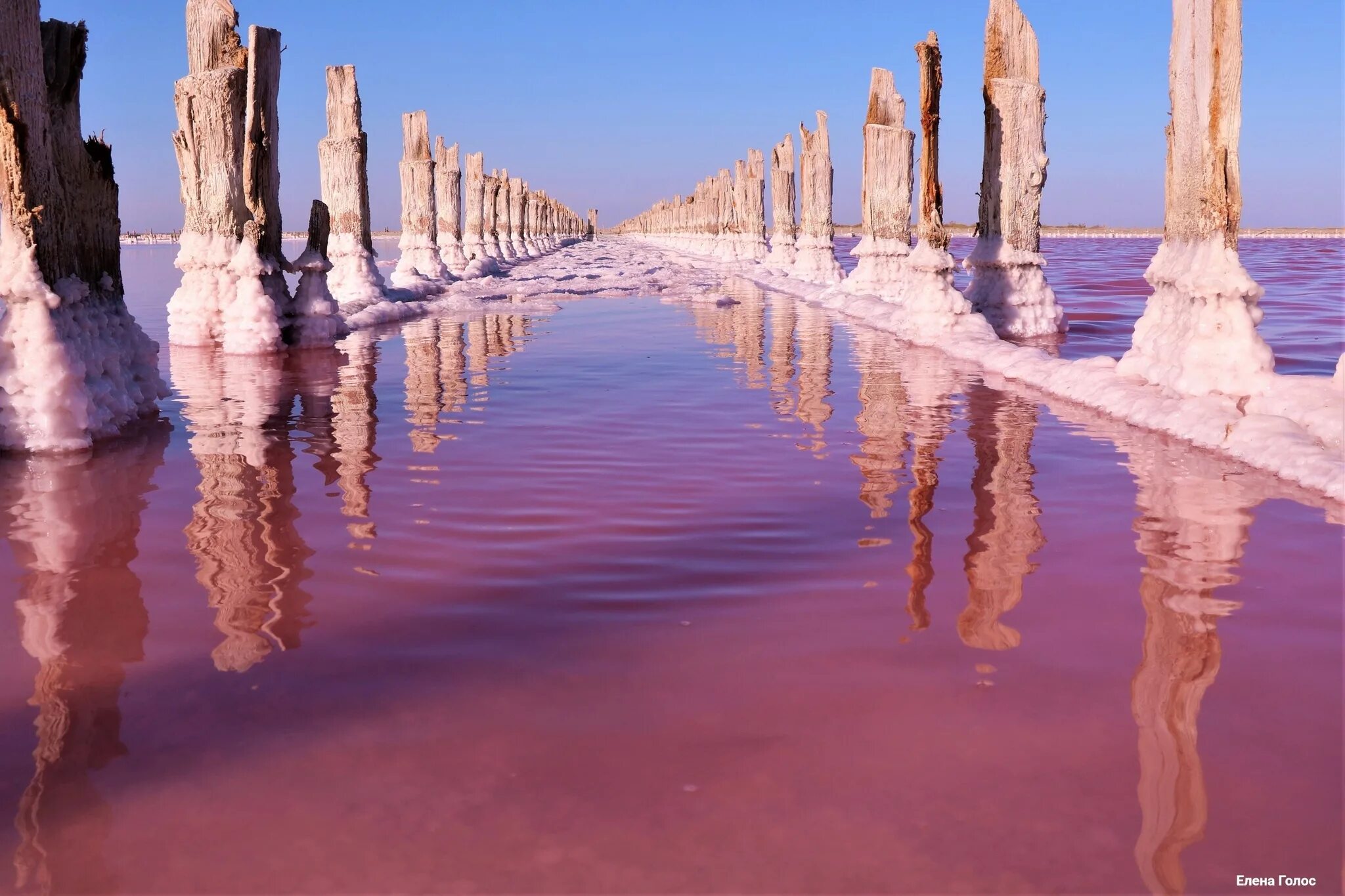 Розовый водоем в крыму. Сасык Сиваш озеро. Солёное озеро Сасык-Сиваш. Озеро Сасык Евпатория. Розовое оз.Сасык Сиваш.