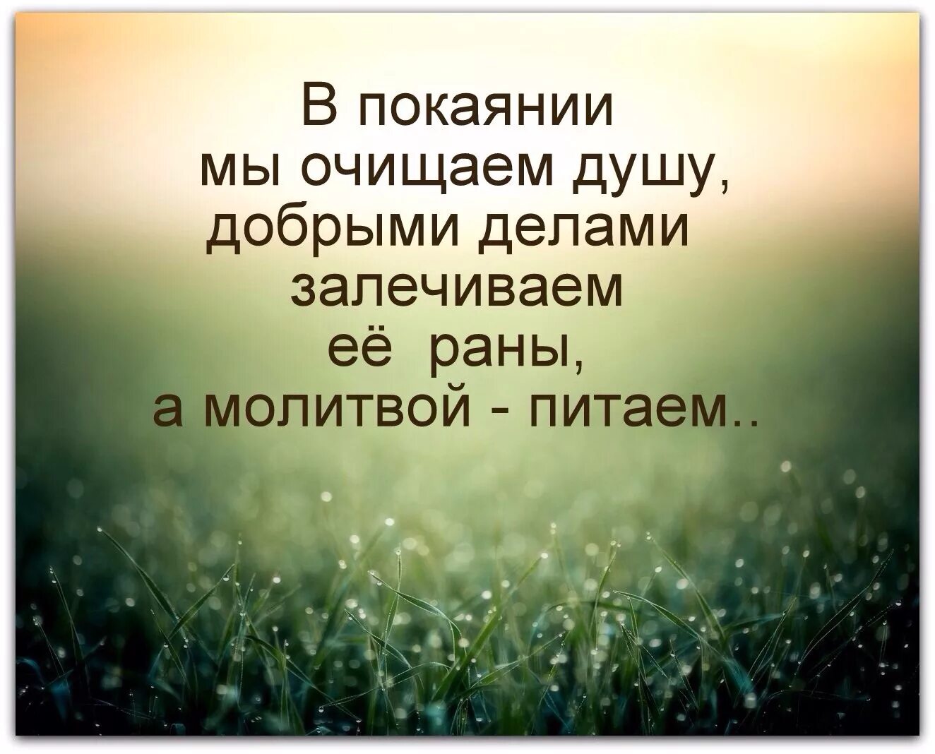 Христианские цитаты в картинках. Мудрые высказывания. Душевные высказывания. Высказывания о чистоте души.