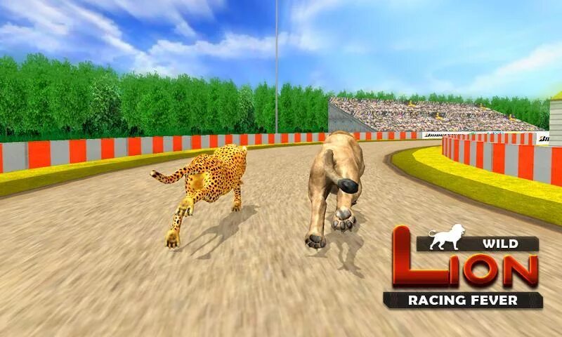 Animal race