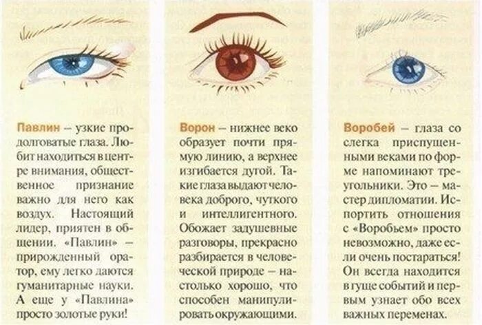 Глаза и характер человека