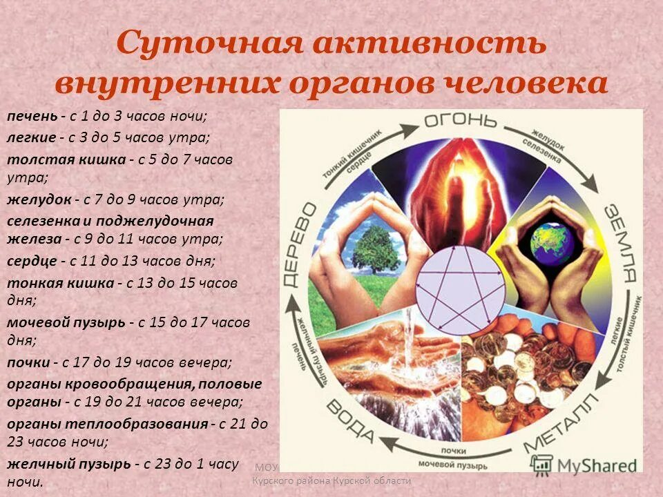 Часы активности внутренних органов человека по часам суток. Часы активности меридианов человека. Время печени в сутках. Суточная активность органов по часам. Время активности меридианов человека таблица.