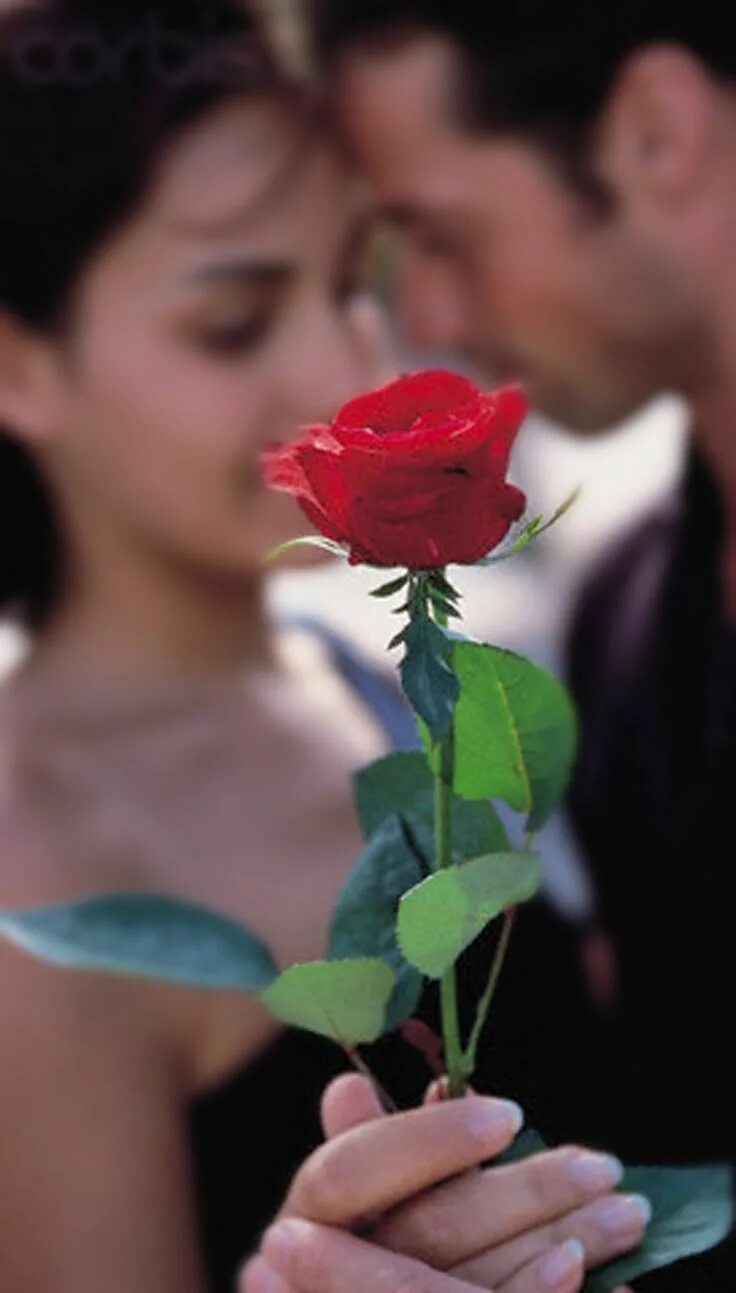 "Цветы любви". Романтические цветы. Парень дарит цветы. Rose romance