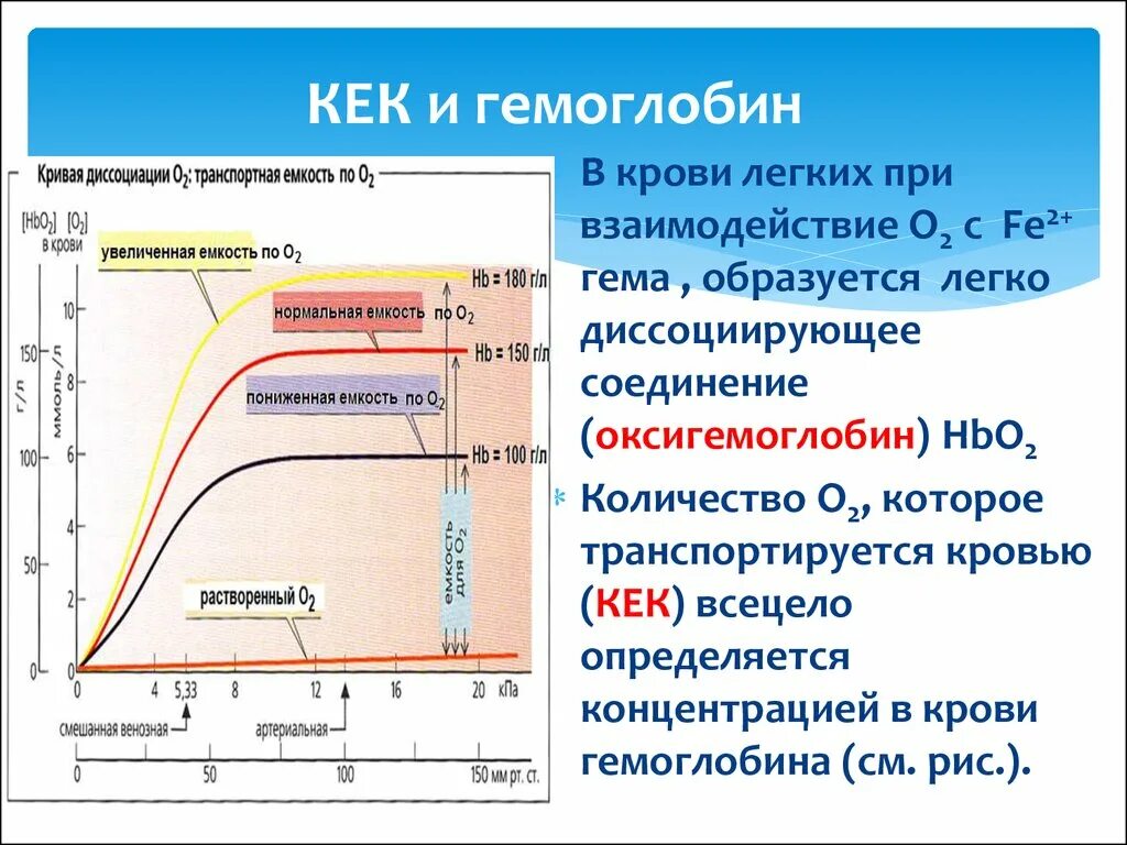 Что происходит с кровью в легочных капиллярах