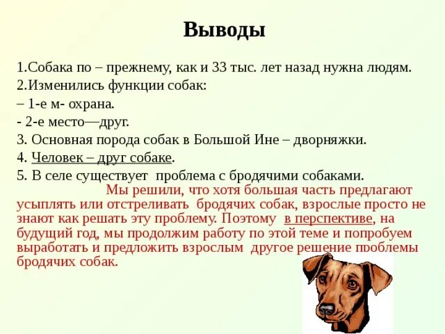 Собака друг человека сочинение. Вывод про собак. Заключение про собак. Выводы по породе собак. Сочинение про собаку 7 класс