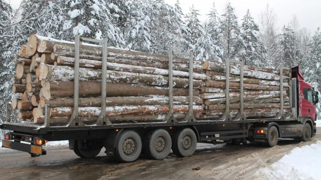 Сколько в прицепе кубов дров. Лесовоз 20 кубов. камаз лесовоз шаланда. камаз лесовоз 15 кубов. камаз 75 кубов леса.