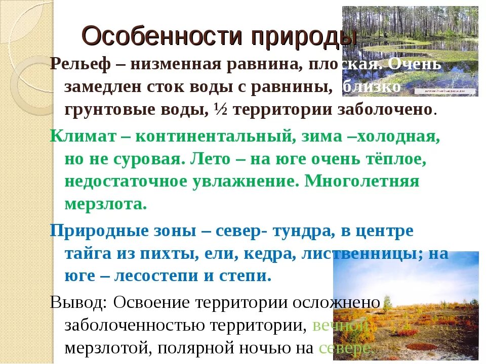 Особенности природы. Особенности природы Сибири. Западно-Сибирская равнина особенности природы. Природные особенности Сибири. Для какого природного региона характерны