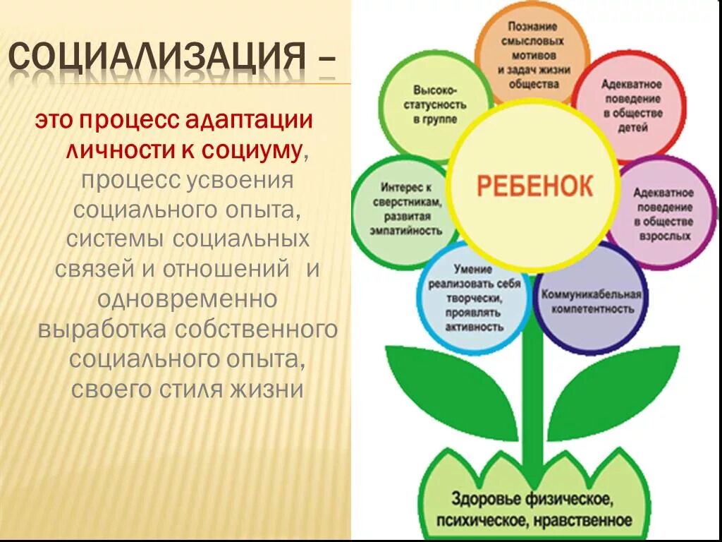 Влияние обучения на развитие. Социализация дошкольников. Социализация в ДОУ. Основы социализации. Социализация человека.