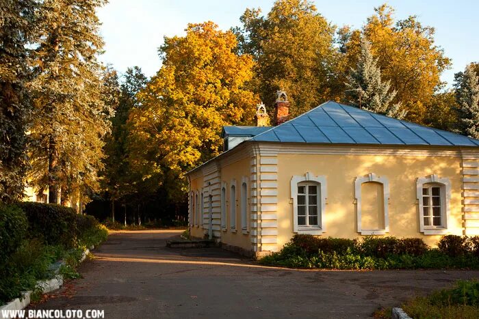 Усадьба в лосино петровском. Монино усадьба Брюса Глинки. Лосино-Петровский усадьба Брюса. Музей Брюса в Лосино-Петровском. Усадьба Глинки Лосино-Петровский.